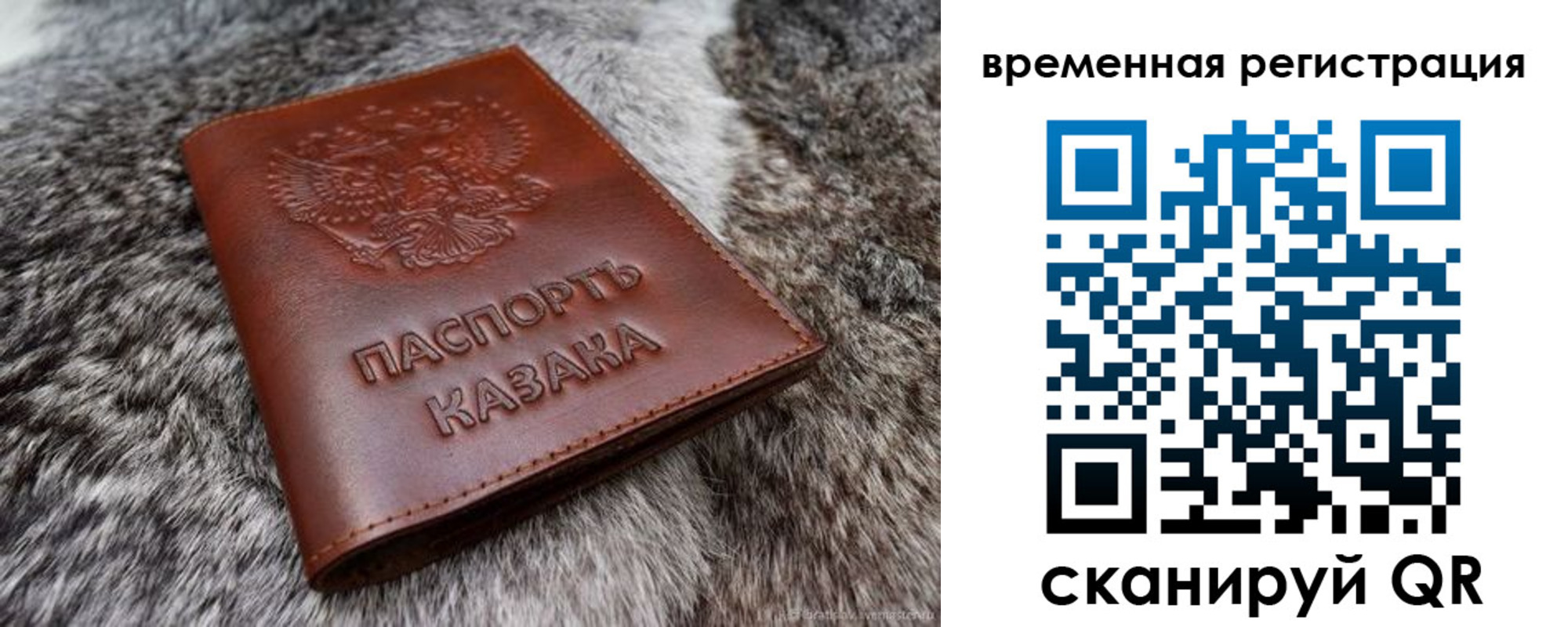 прописка 2025 в Оленегорске